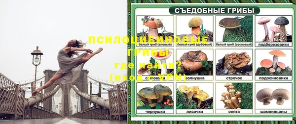 стафф Балабаново